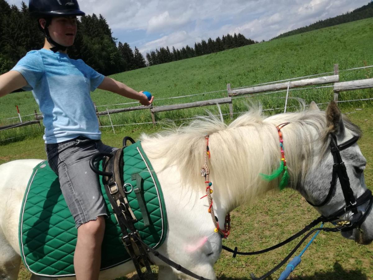 Gasthof Zum Kramer Gurk Экстерьер фото